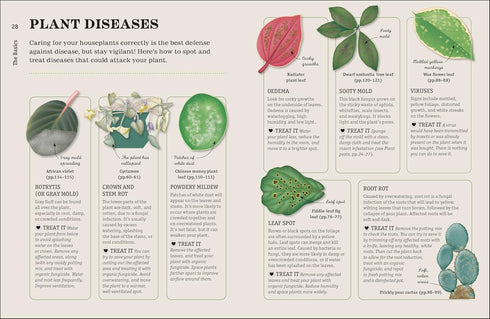 HOW NOT TO KILL YOUR HOUSEPLANT NEW EDITION - PEERLESS. VERONICA